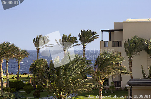 Image of marsa alam in egypt