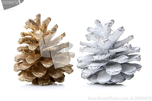 Image of pine cones