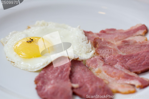 Image of Fried egg at the plate