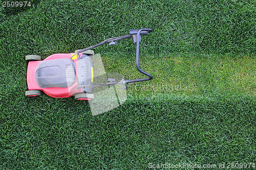 Image of Grass cutter at the lawn