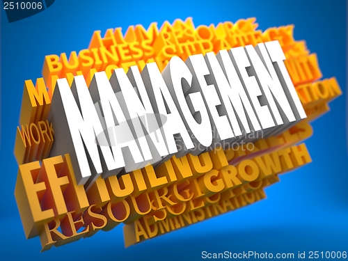 Image of Management. Wordcloud Concept.