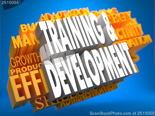 Image of Training and Development. Wordcloud Concept.