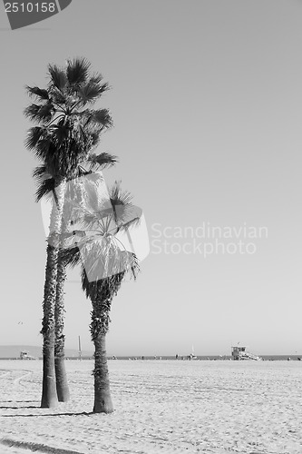 Image of Santa Monica Beach