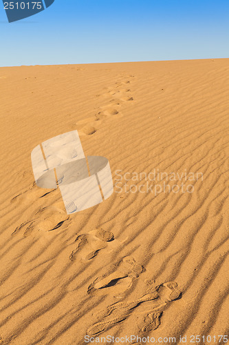 Image of Death Valley Desert