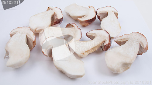 Image of Porcini Mushroom