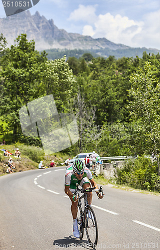 Image of The Cyclist Cyril Lemoine