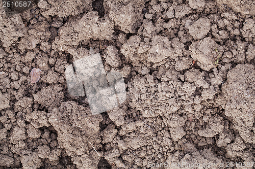 Image of clay garden soil