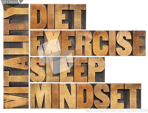 Image of diet, sleep, exercise and mindset - vitality