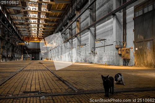 Image of Large industrial hall of a repair station