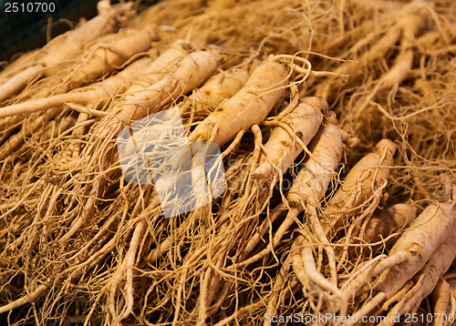 Image of Ginseng in Korean market