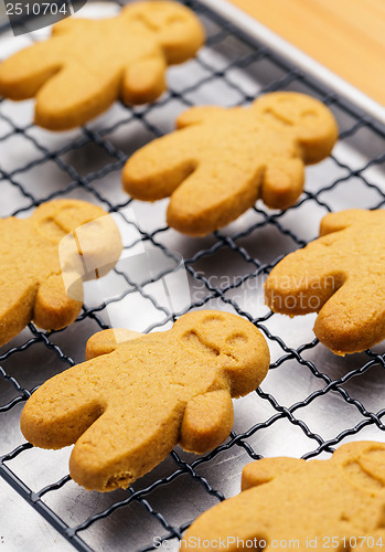 Image of Homemade gingerbread