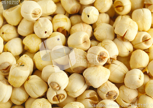 Image of Lotus seed