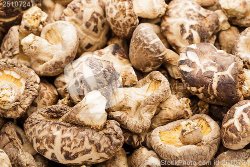 Image of Dried mushrooms