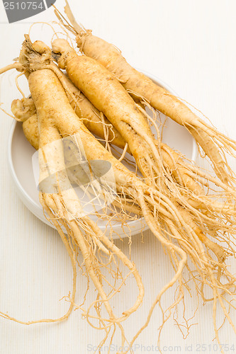 Image of Ginseng with white background