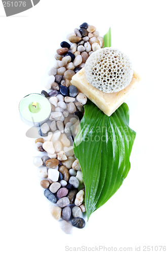 Image of Green leaf, soap and candle