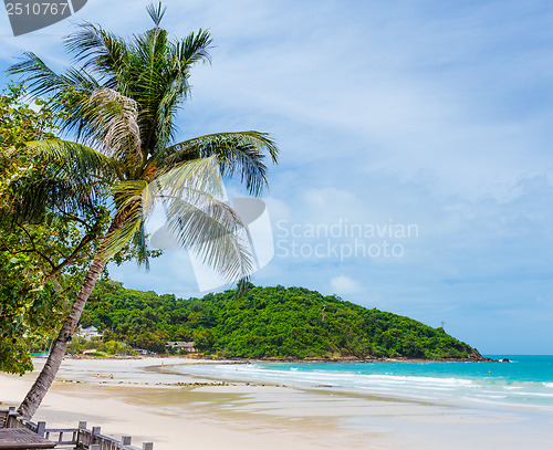 Image of Tropical beach with palm trees