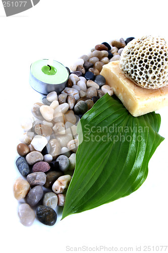 Image of Green leaf, soap and candle