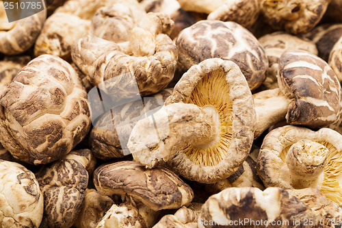 Image of Dried shiitake 