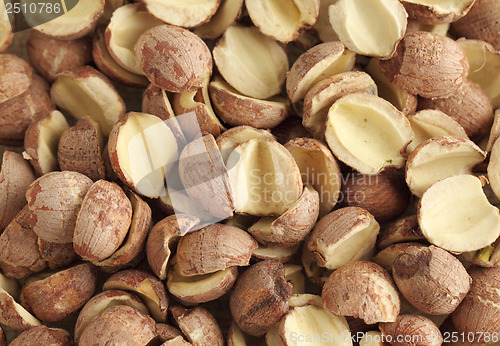 Image of Chinese fox nut