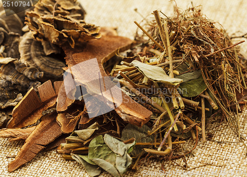 Image of Dried chinese herb medicine