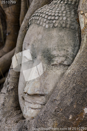 Image of Buddha head in banyan tree at Ayutthaya