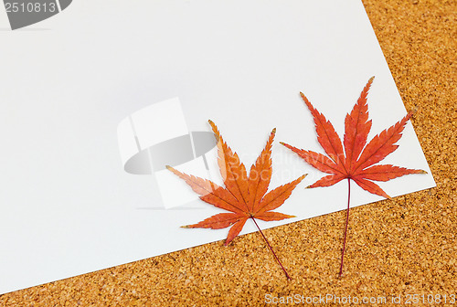 Image of Greeting card with maple