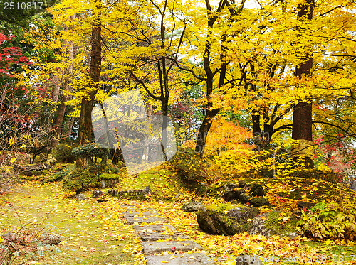 Image of Autumn forest and walking path on mountain