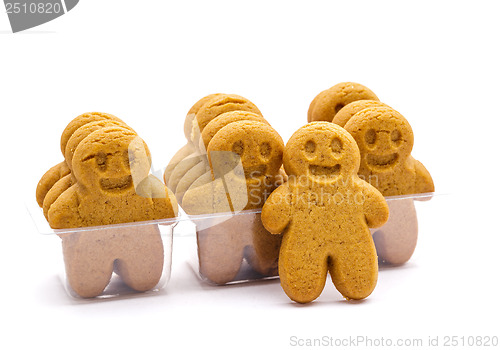 Image of Gingerbread in packing