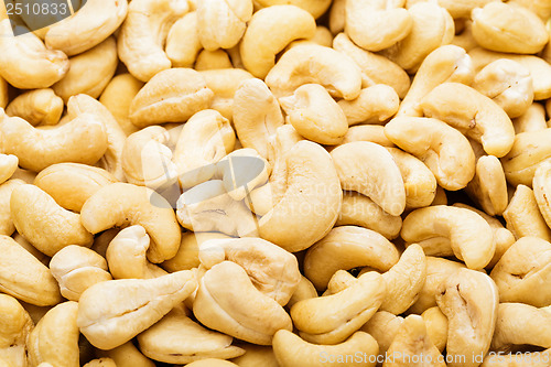 Image of Fresh cashew nuts close up