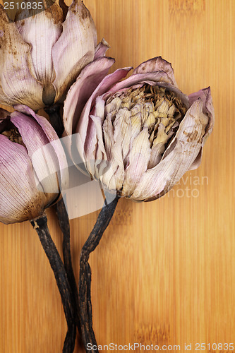 Image of Bouquet of dried lotus