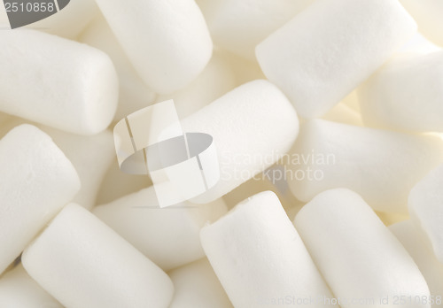 Image of Marshmallow