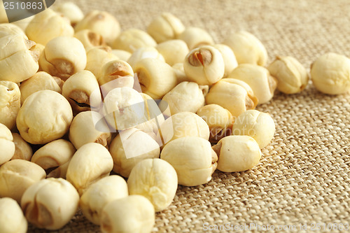 Image of Lotus seed on the linen background