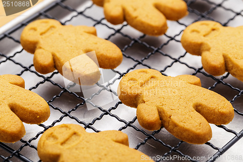 Image of Homemade gingerbread cookies