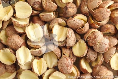 Image of Fox nuts