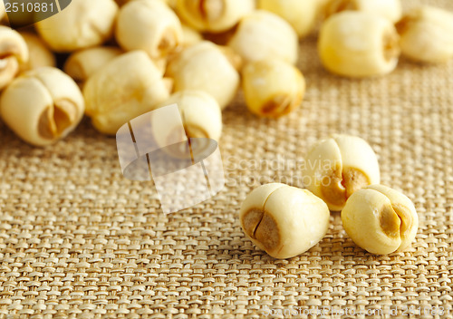 Image of Dry lotus seed on the linen background