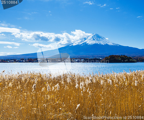 Image of Mt. Fuji and lake