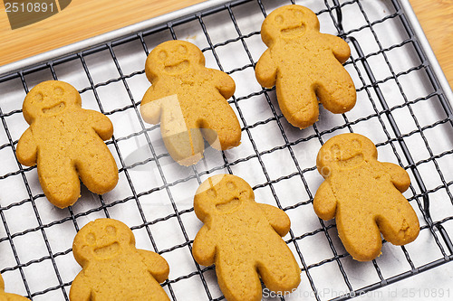 Image of Homemade gingerbread cookies for xmas 