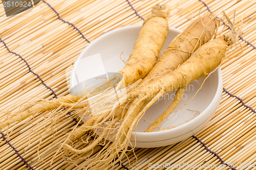 Image of Ginseng