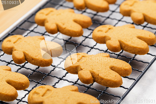 Image of Homemade gingerbread cookies