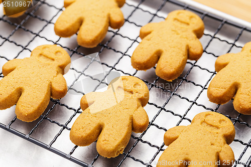 Image of Gingerbread