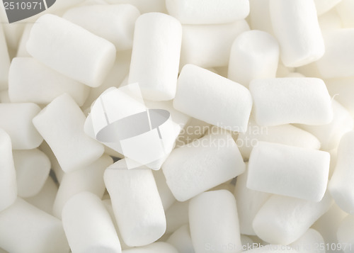 Image of Marshmallow