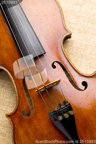 Image of Violin close up
