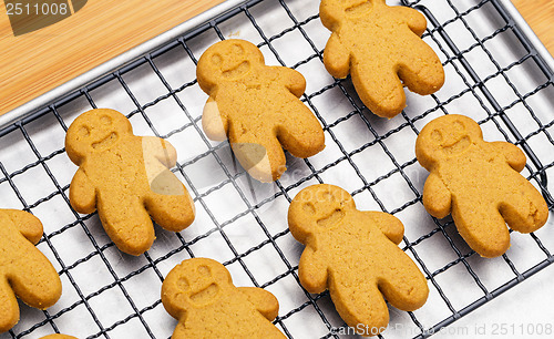 Image of Homemade gingerbread cookies