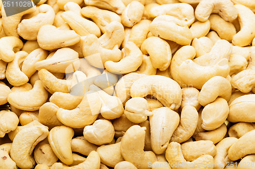 Image of Cashew