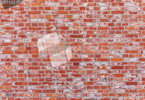 Image of Brick wall in red color