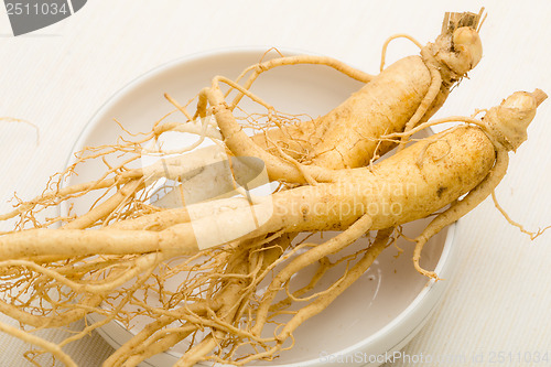 Image of Korean fresh ginseng