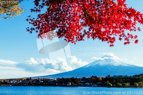 Image of Mt. Fuji in autumn