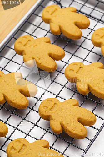 Image of Homemade gingerbread cookies
