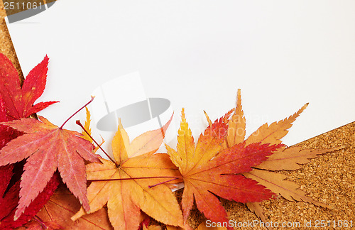 Image of Greeting card with maple