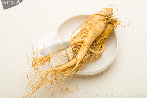 Image of Fresh Ginseng